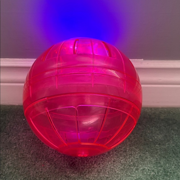 Vibrant Pink Ball Toy - Picture 3 of 4